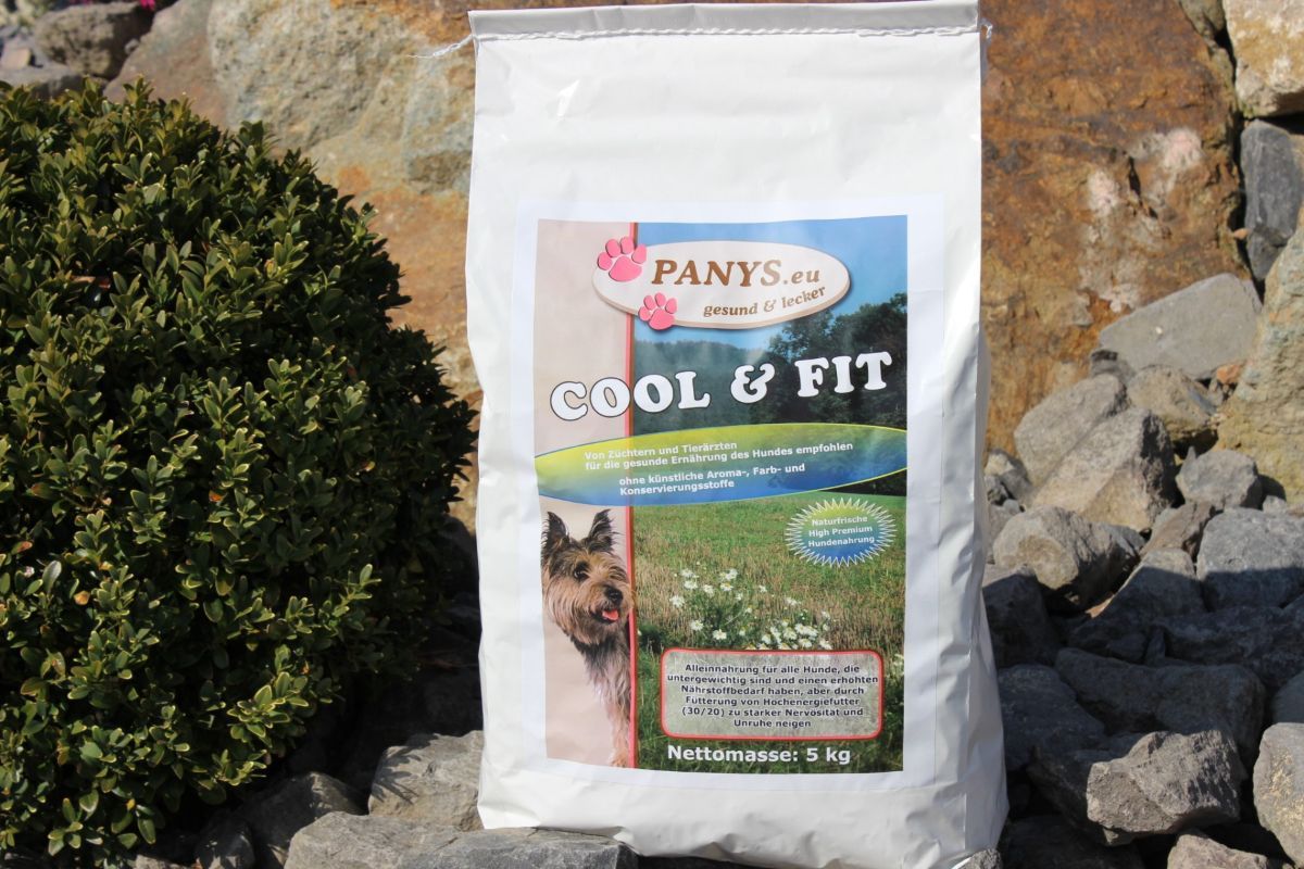 Hunde Trockenfutter Hunde Trockenfutter